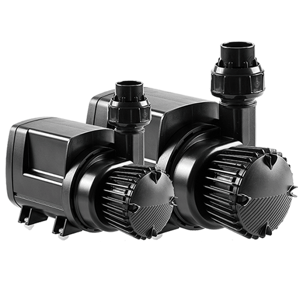SYNCRA ADV