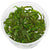 CRYPTOCORYNE USTERIANA
