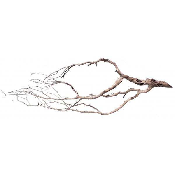 PERITA WOOD