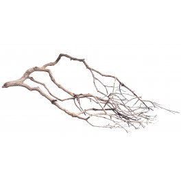PERITA WOOD