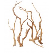 SNAKE WOOD